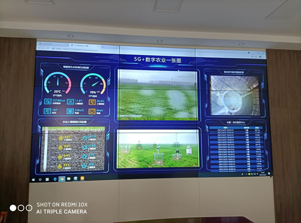 2021河南鶴壁?？h國(guó)營(yíng)農(nóng)場(chǎng)